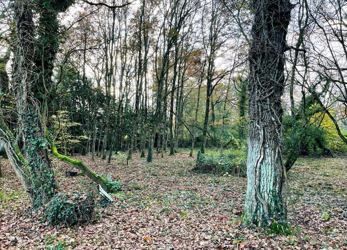 Terrain à BOISGERVILLY