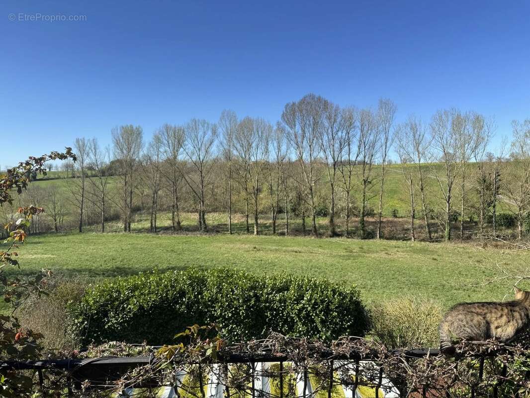 Maison à MIRANDOL-BOURGNOUNAC