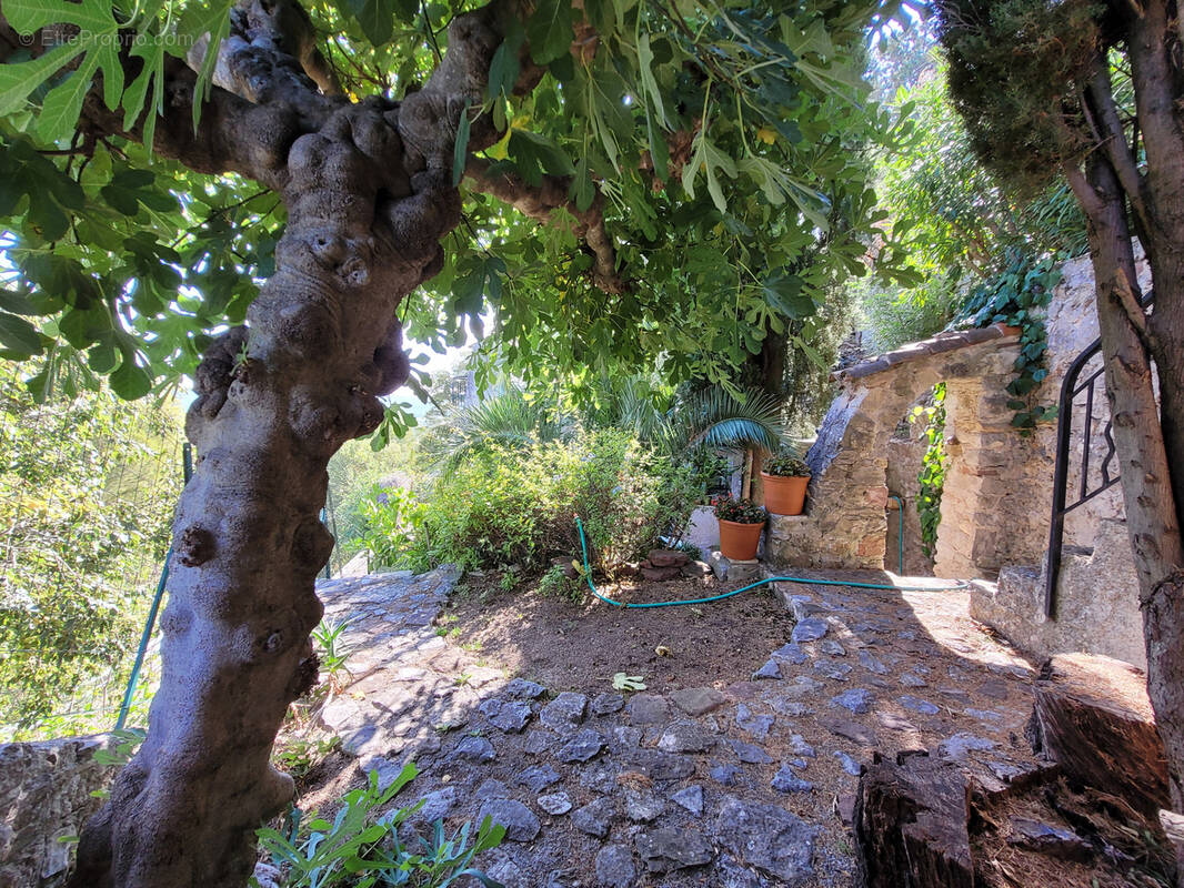 Maison à SOLLIES-VILLE