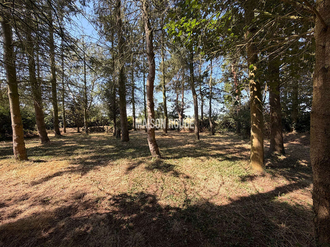 Maison familiale La Bouillie - 4 chambres, terrain arboré de 2720m², au calme - photo 16
