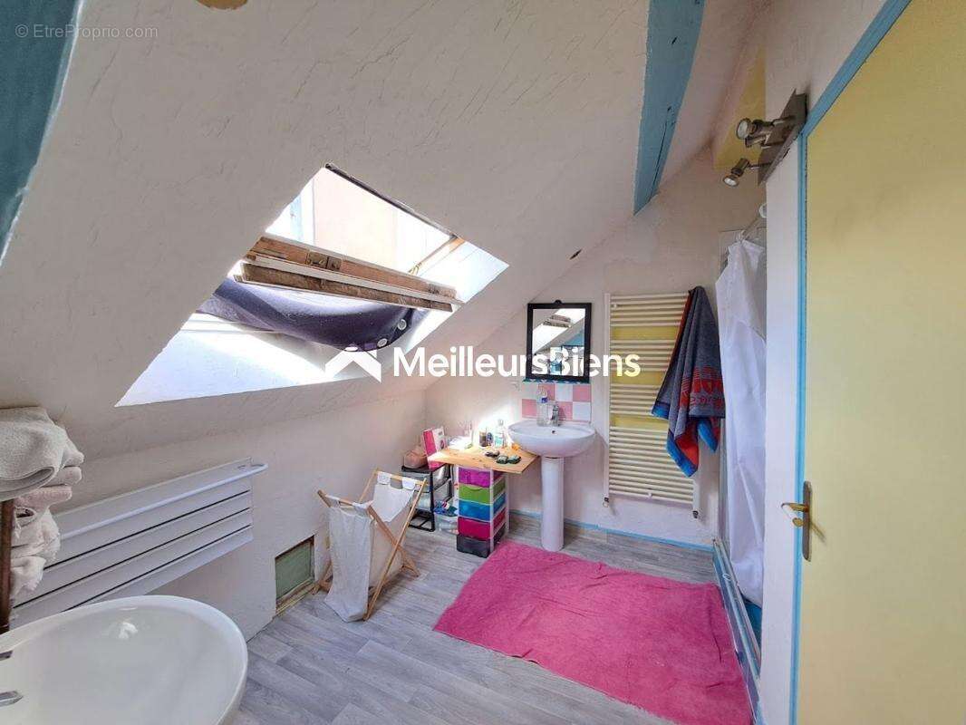 Triplex d'habitation avec  grande terrasse, divisible en lots distincts - photo 12