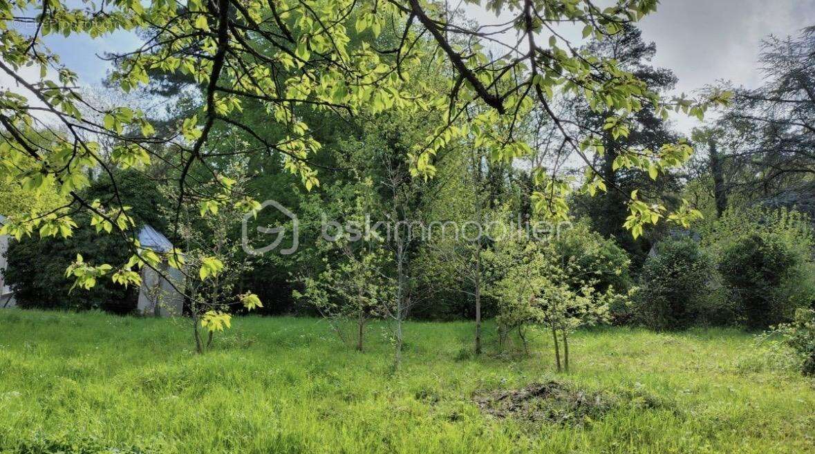 Terrain 3313m2 - photo 3