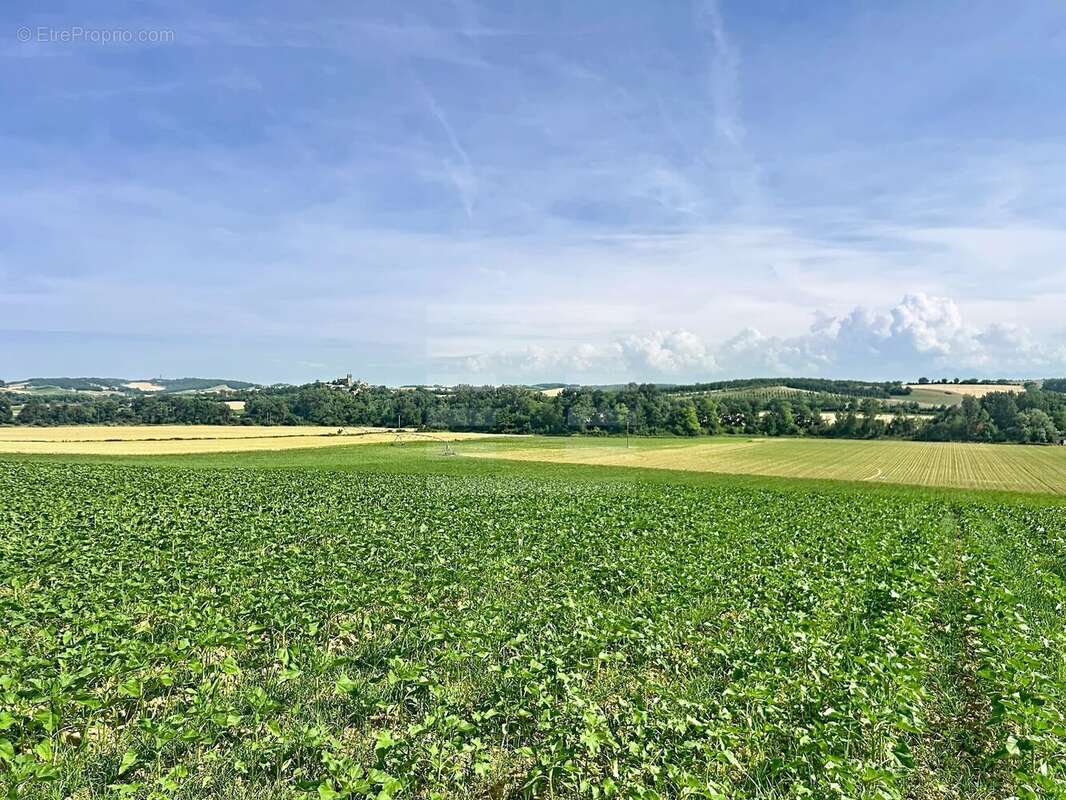 Terrain à BELPECH