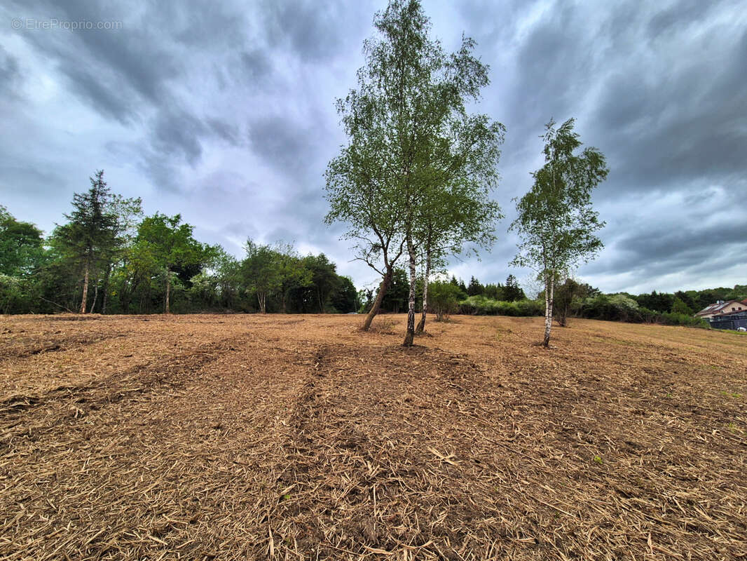 Terrain à VAUCOULEURS