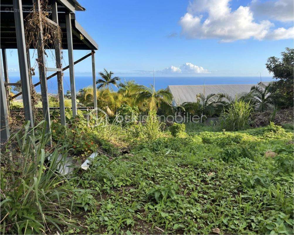 Terrain à SAINT-PAUL