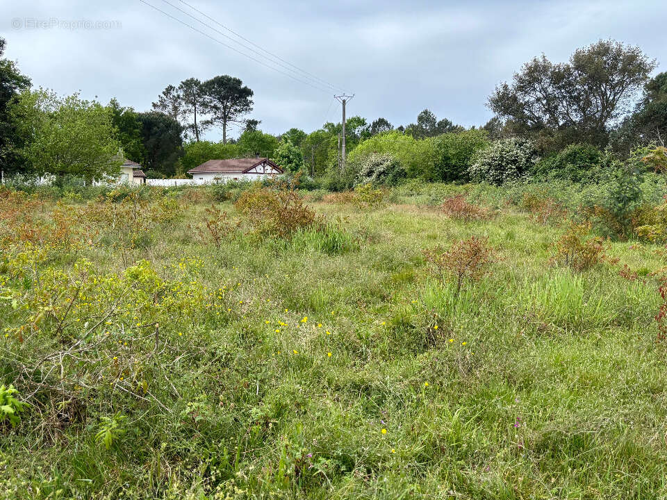 Terrain à MIMIZAN