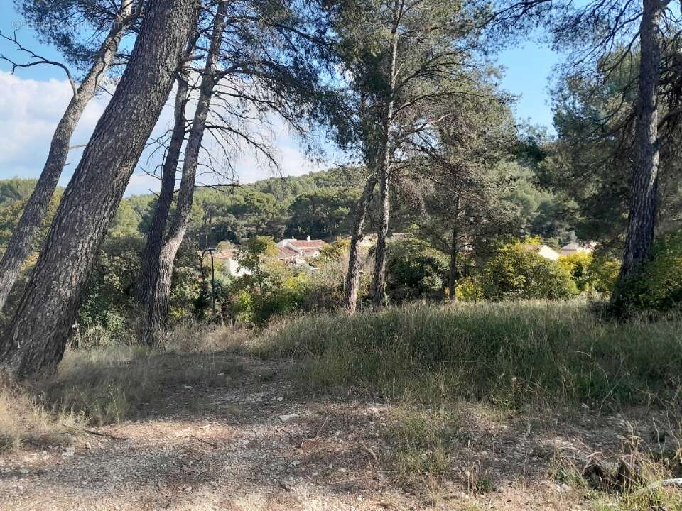 Photo Terrain à Septemes-Les-Vallons au prix de 200 000€