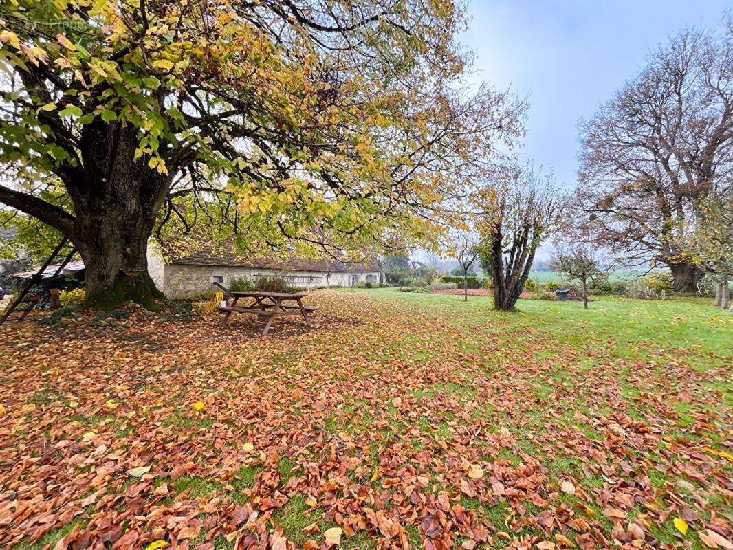 Maison à JEU-MALOCHES