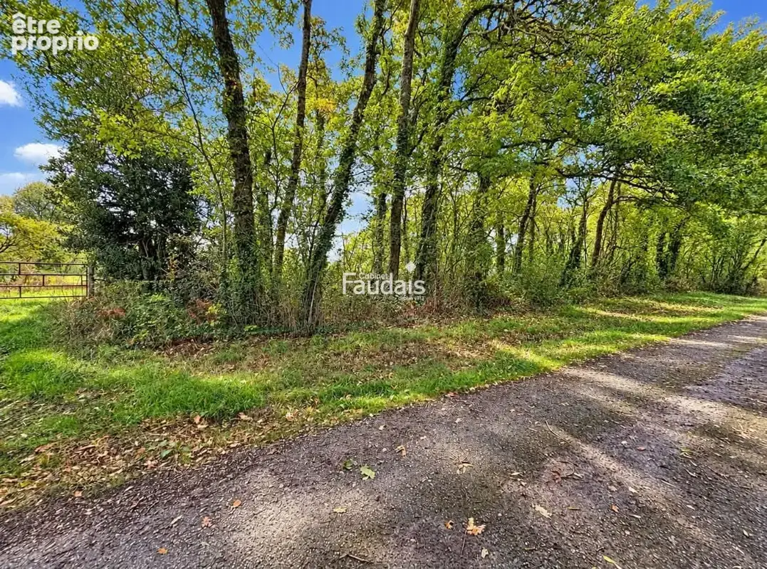 Terrain 9 725 m² à vendre à Baudreville (50250) - photo 2