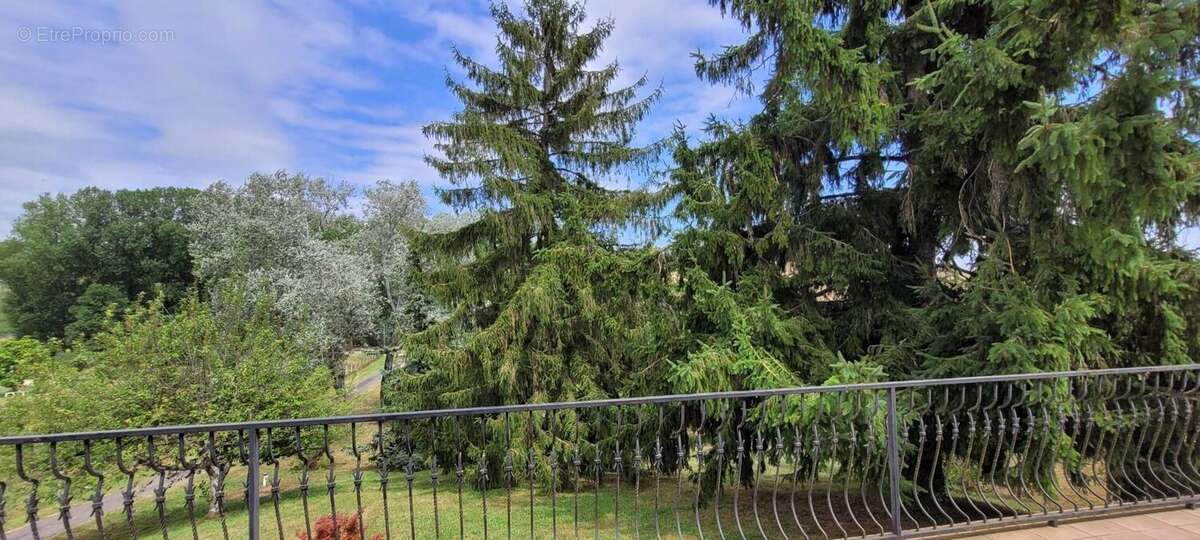 Photo 7 - Maison à CAUSSADE