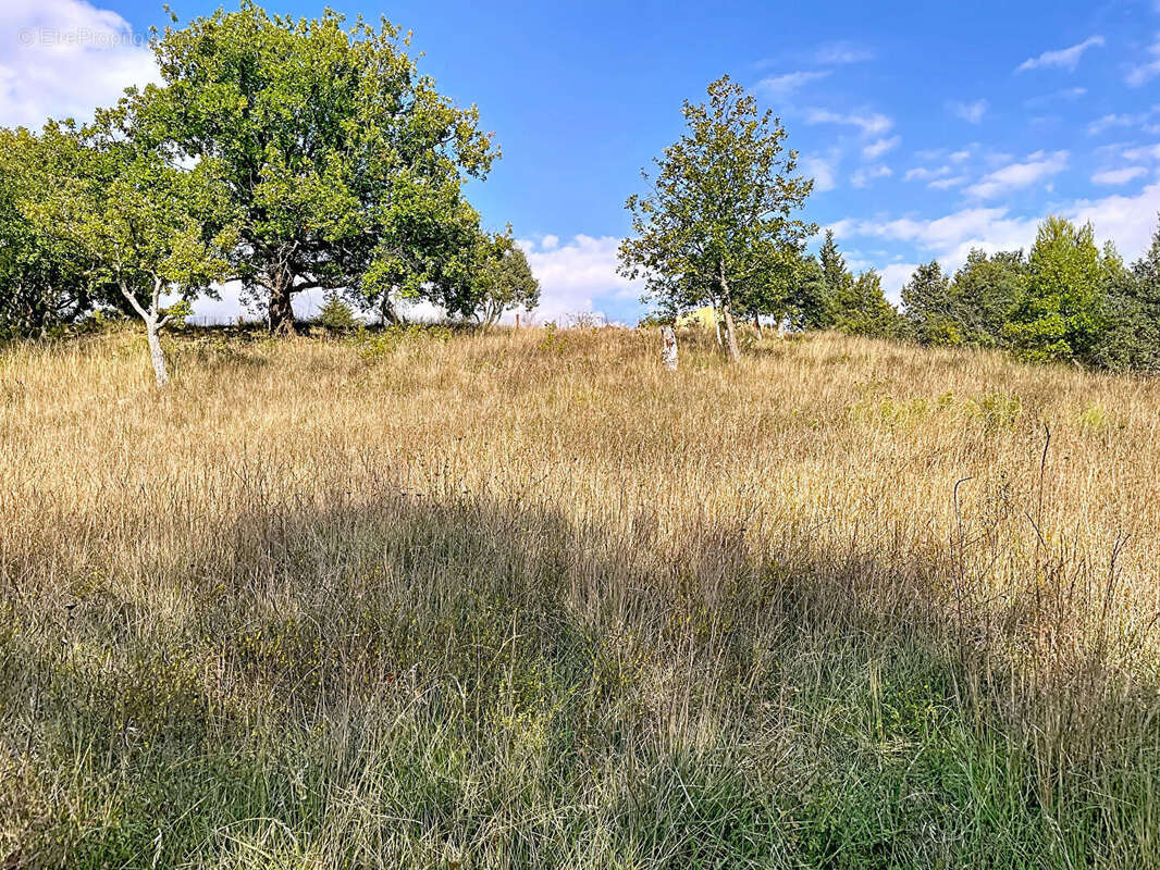 Terrain à MONTAGNAC-MONTPEZAT