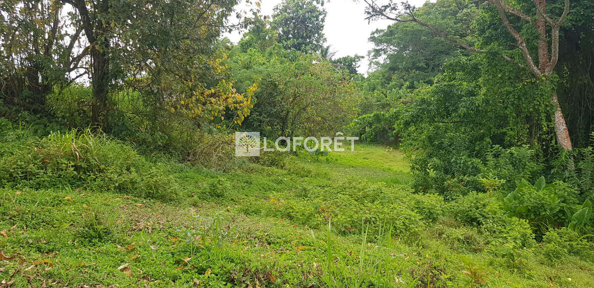 Terrain à LA TRINITE