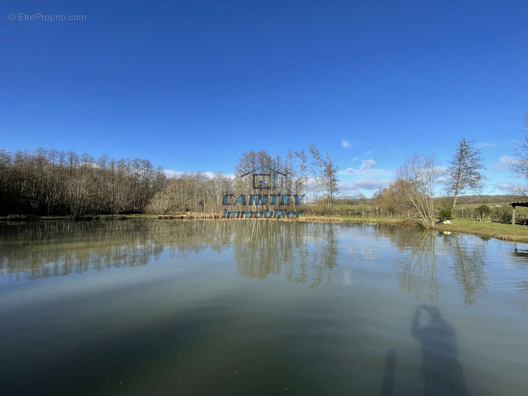 Terrain de loisir avec 3 etangs - axe lure / villersexel - photo 8