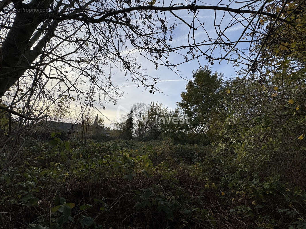 Terrain à VILLERS-SIRE-NICOLE