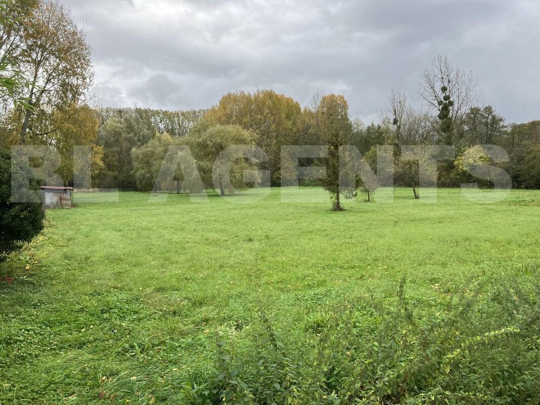 IMG_8051 - Terrain à LA FERTE-SOUS-JOUARRE