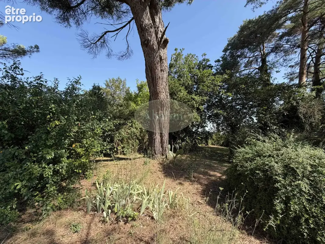 Maison 157 m² à Ordonnac  - photo 5