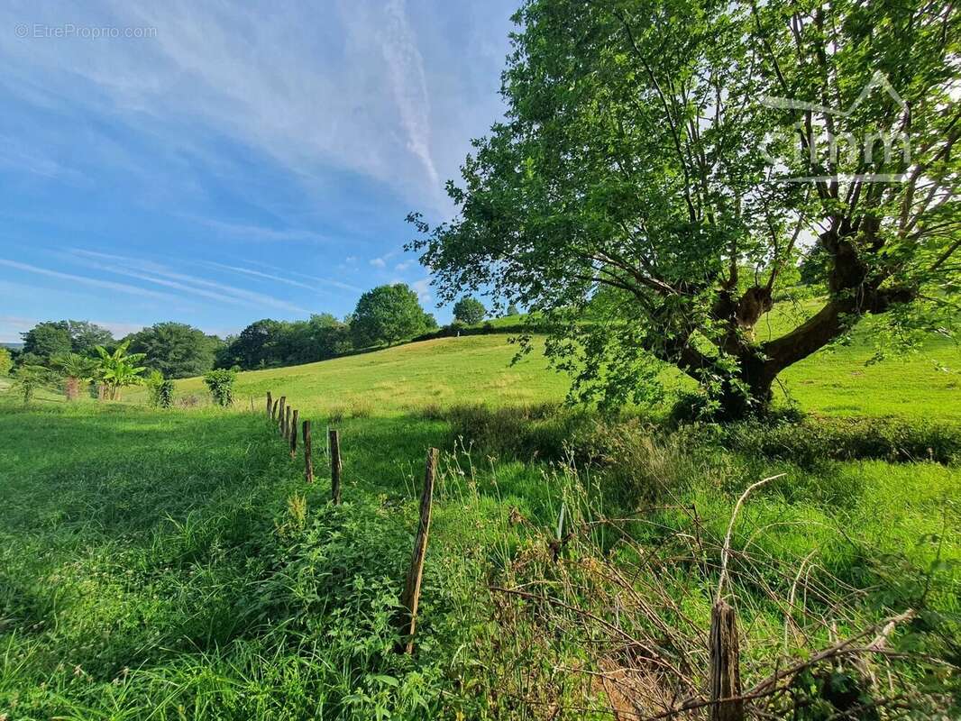 Vente terrain à bâtir plus terre agricole - photo 2