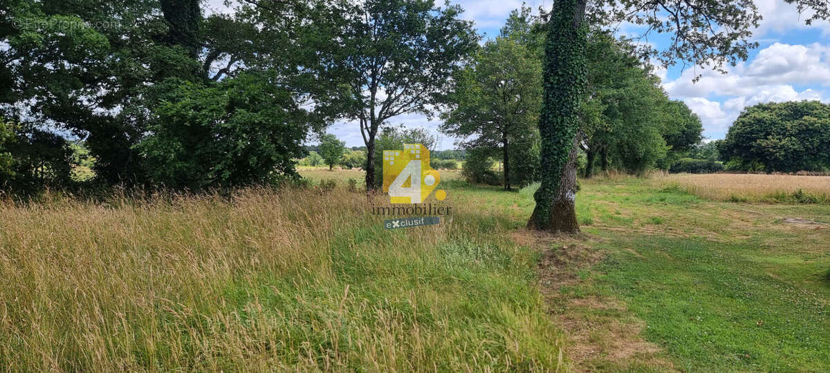 Terrain à PONTCHATEAU