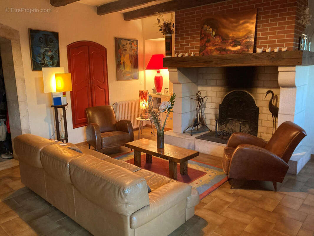 salon cheminée bis