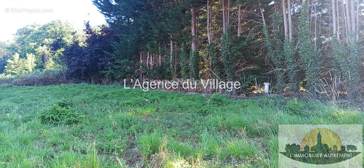 Terrain Grisy Les Platres 1112 m2 - photo 3