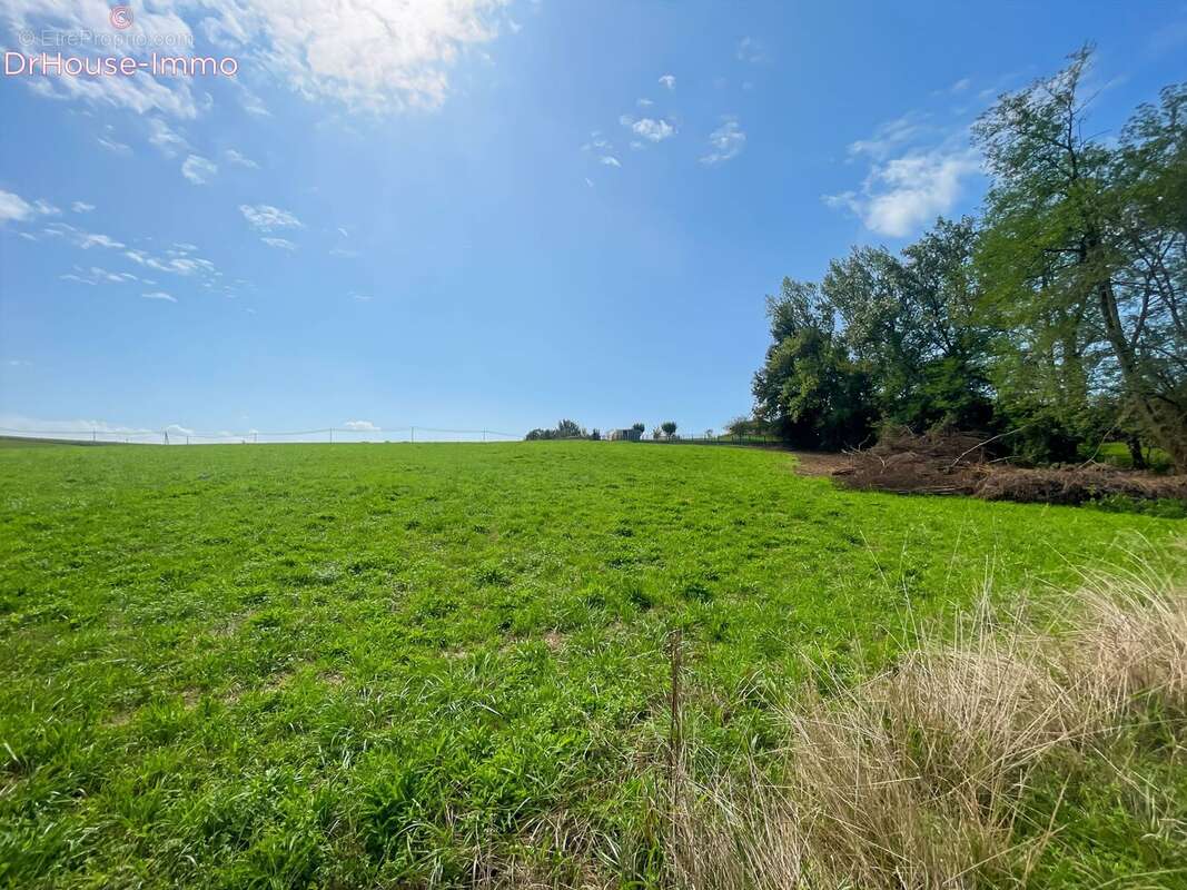 Terrain 4111 m² à Bidache  - photo 11