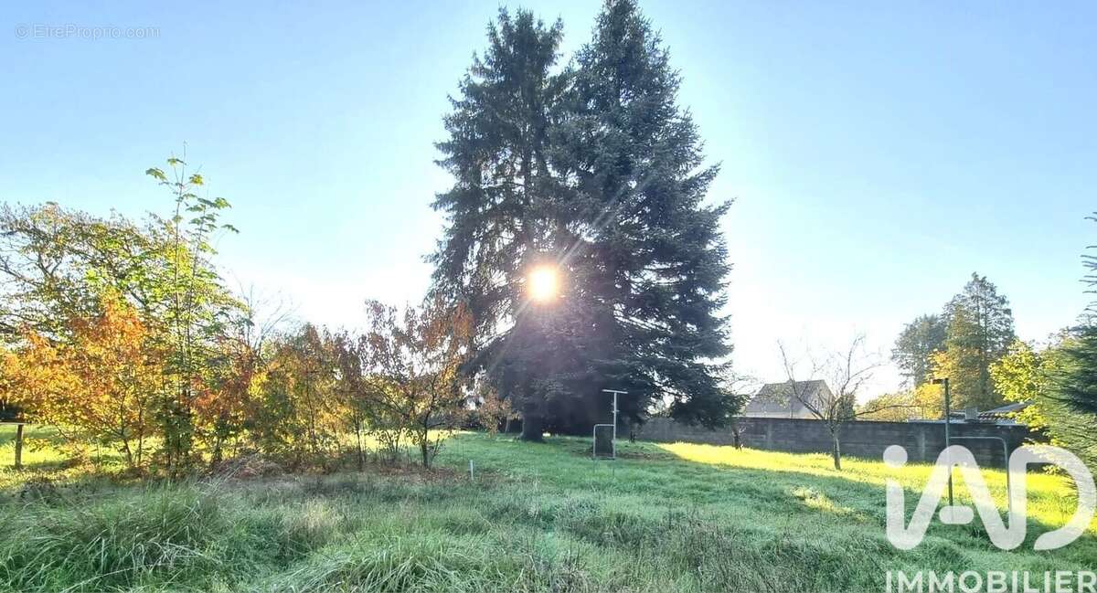 Photo 8 - Maison à SCEY-SUR-SAONE-ET-SAINT-ALBIN