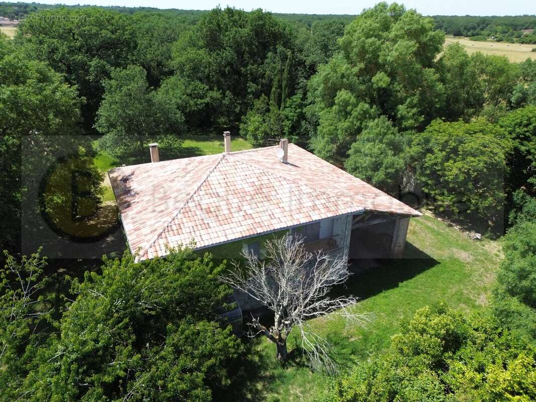 Maison 296 m² à Pibrac  - photo 2