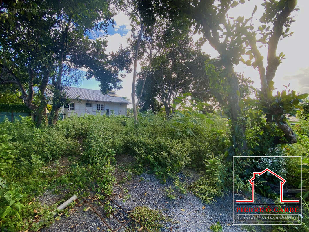 Terrain à LE TAMPON