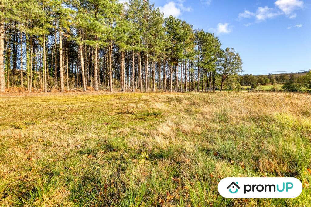 Terrain à SAINT-VICTOR