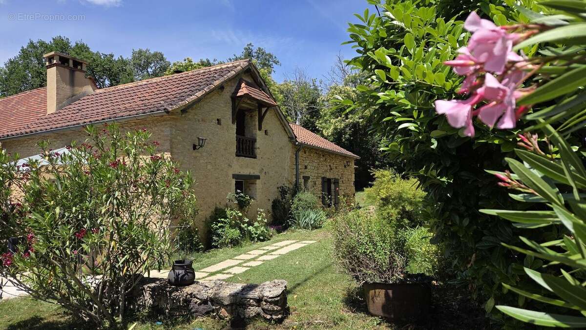 Ensemble périgordin rénové, ses deux roulottes et terrain de plus de 4 ha. - photo 3