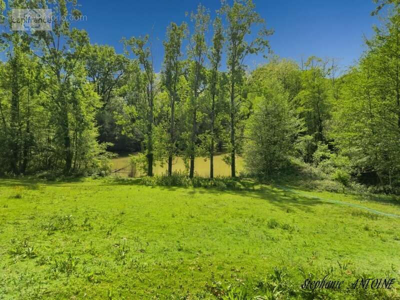 Propriété de caractère – 6,7 hectares – dépendances – ossages - photo 26