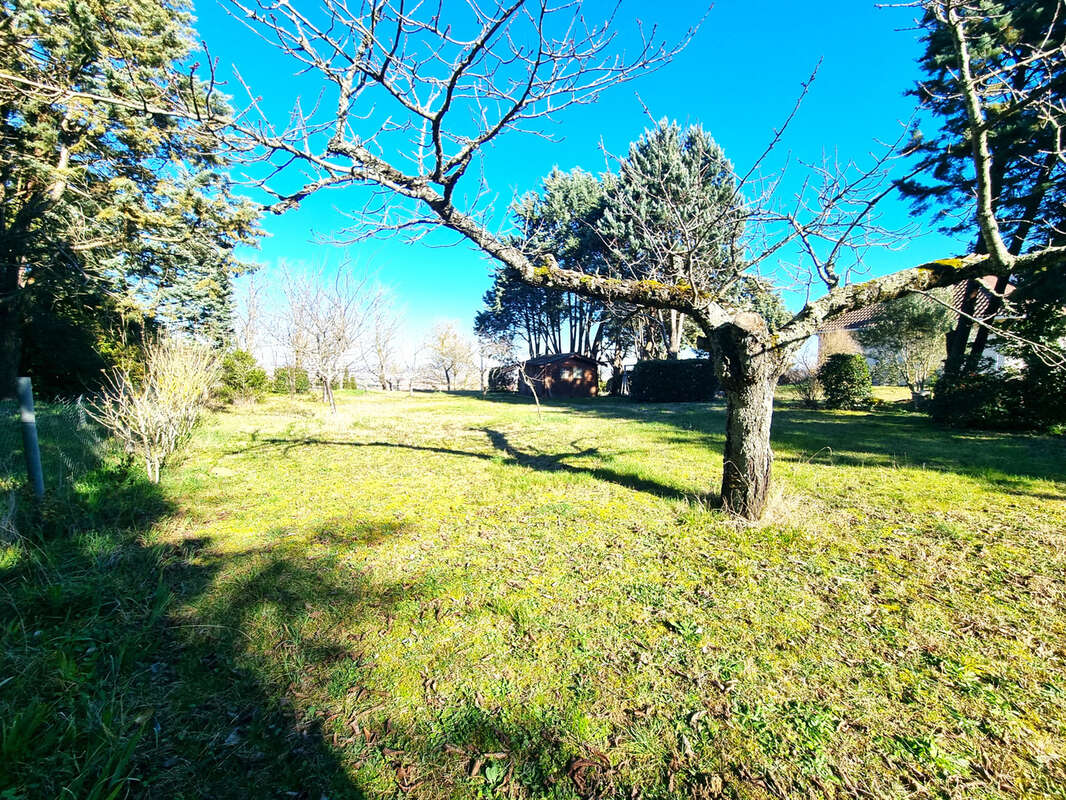 Terrain à CASTANET-TOLOSAN