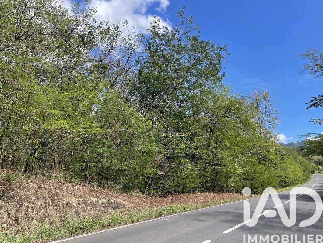 Photo 1 - Terrain à DESHAIES