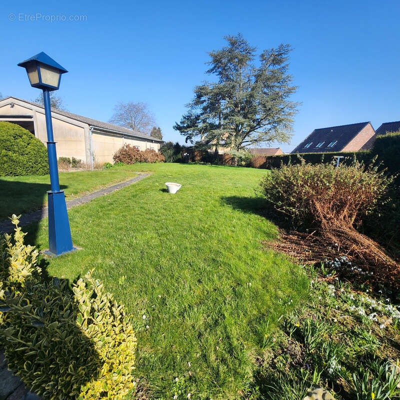 Maison à STEENVOORDE