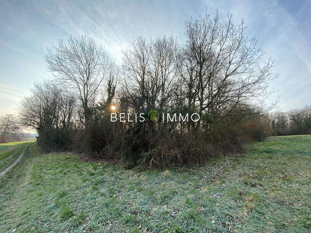 Terrain à AMBOISE
