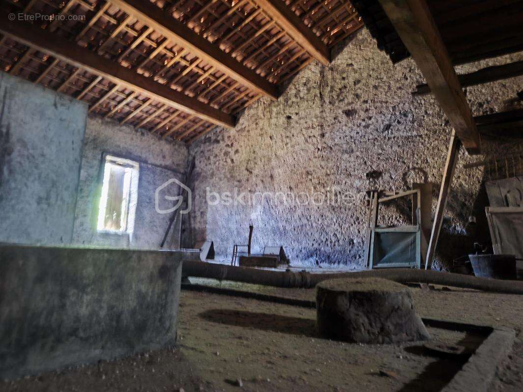 cave vinicole - photo 12