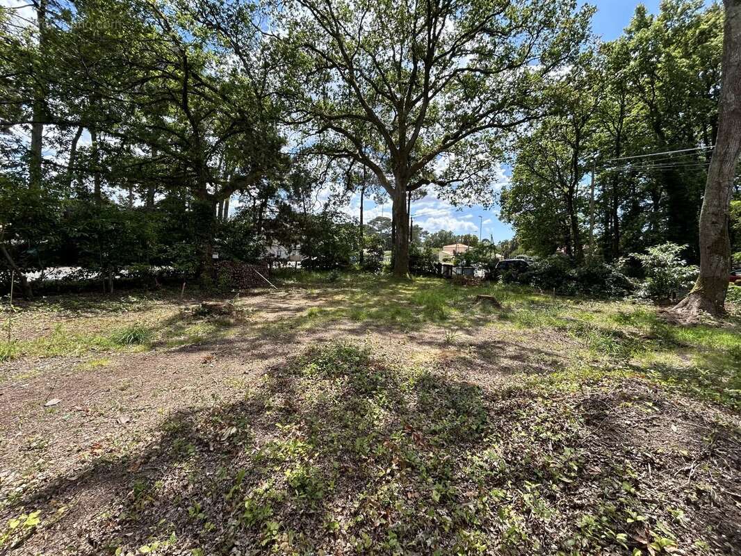 Terrain à SAINT-BREVIN-LES-PINS