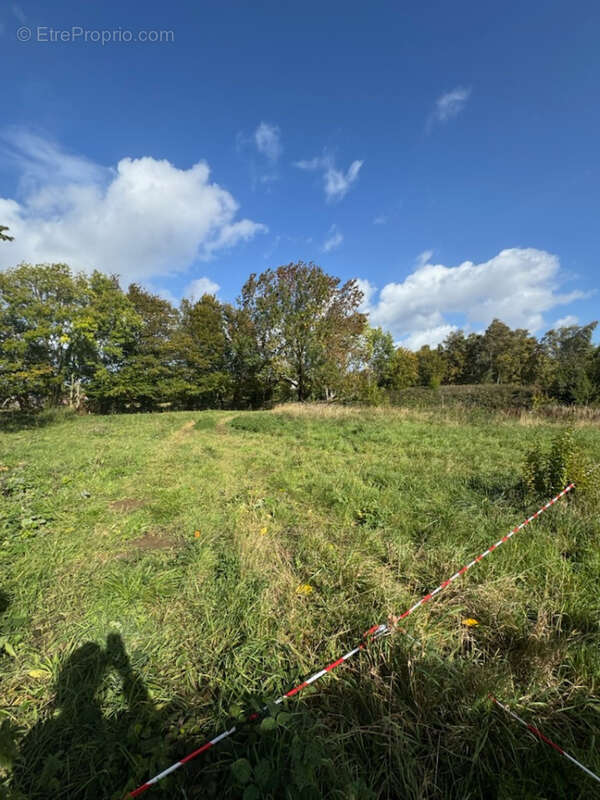 Terrain à MONCHEAUX