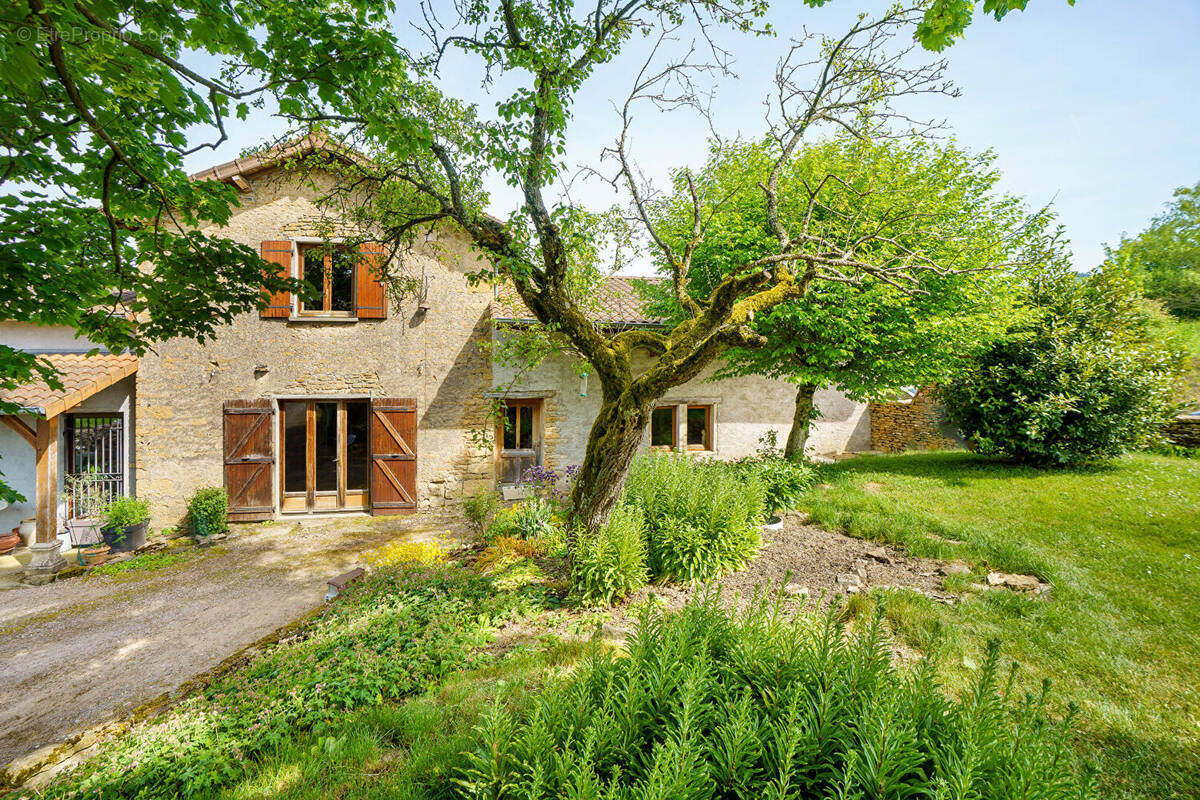Maison à MAZILLE