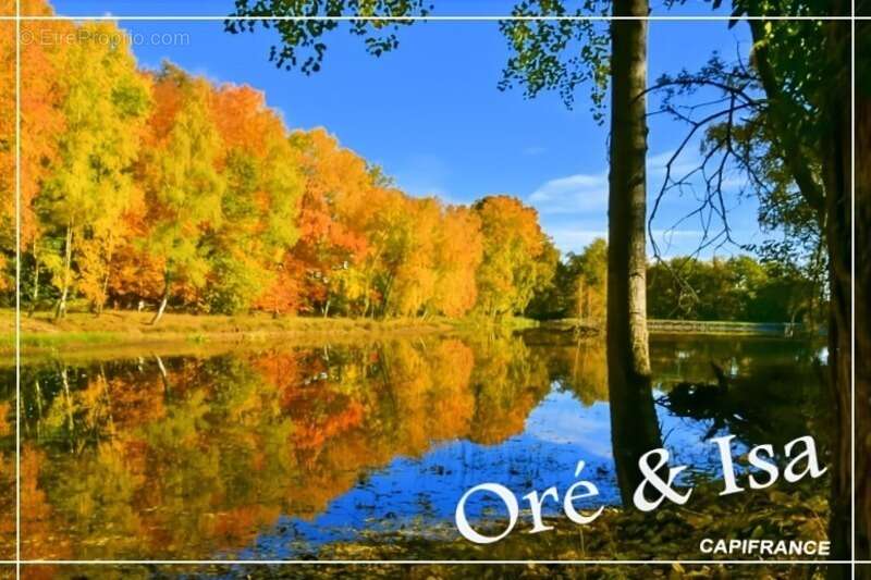 Terrain à SAINT-DESIRE