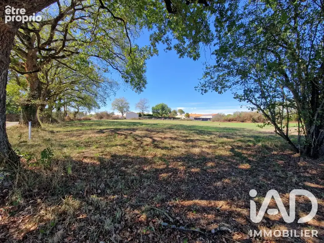 Photo 1 - Terrain à LA LIMOUZINIERE