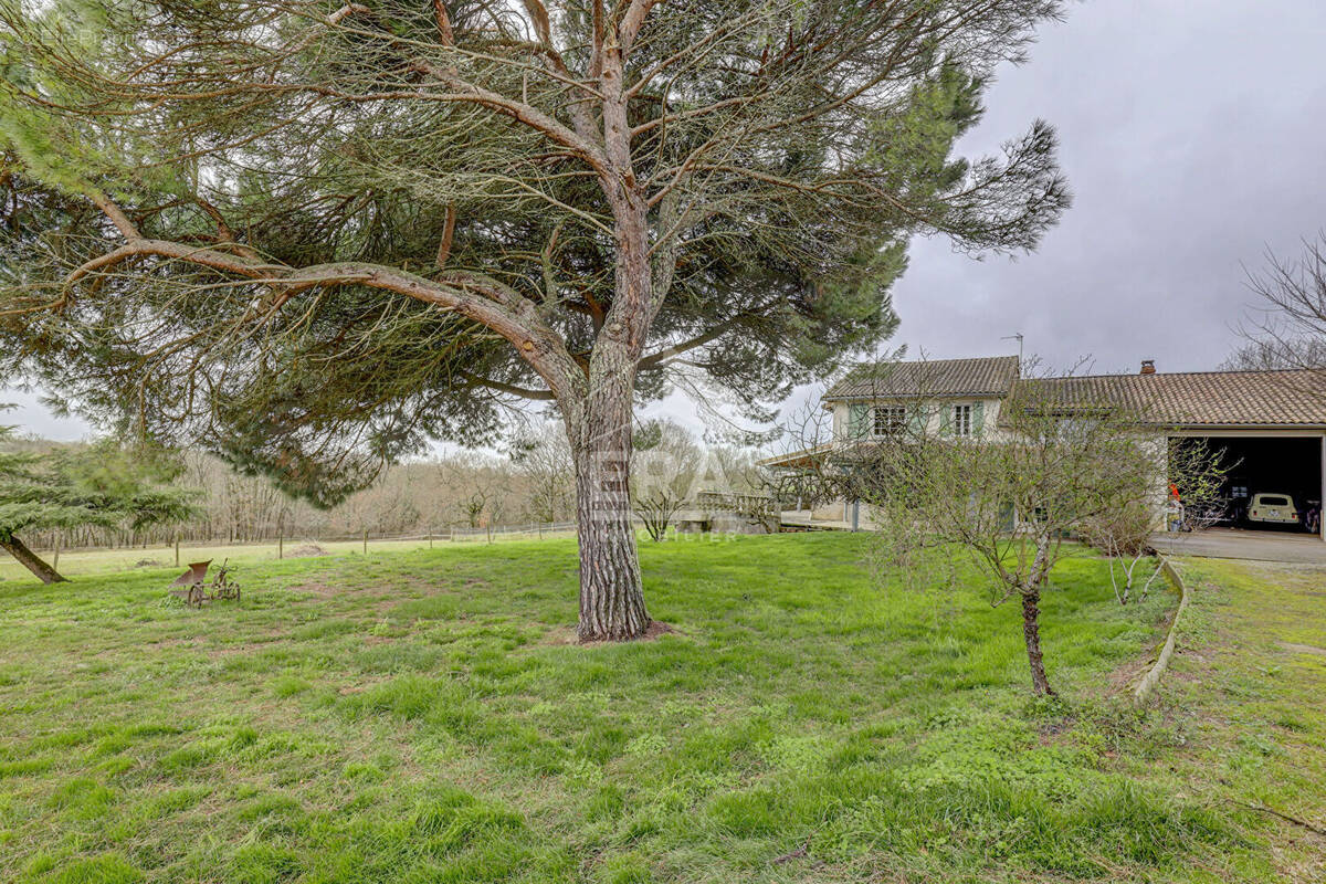 Maison à VILLEMUR-SUR-TARN