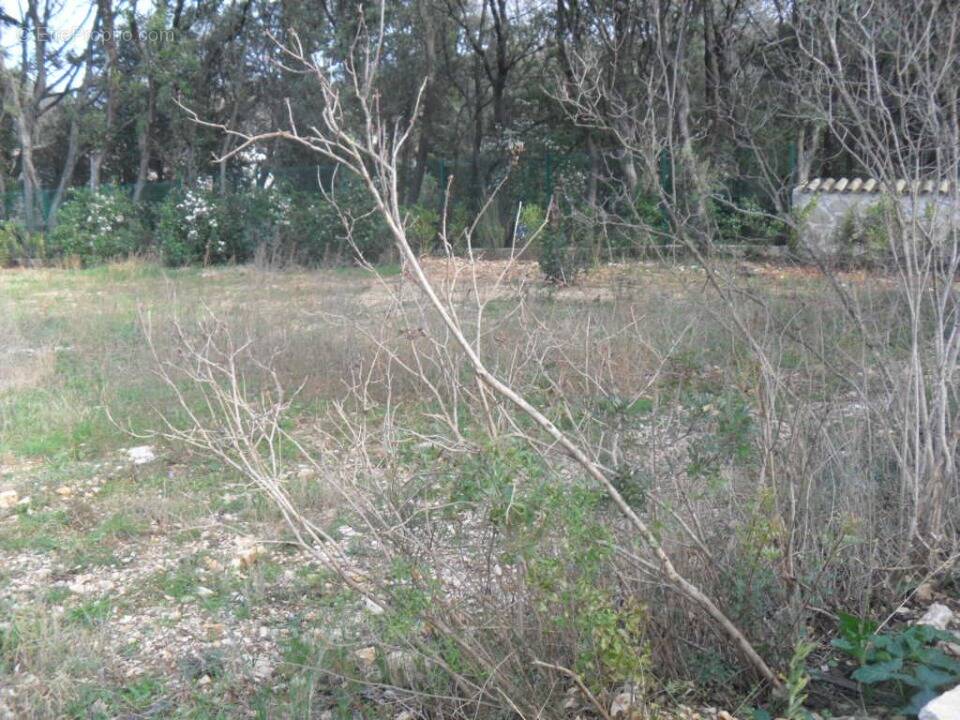 Terrain à CRUVIERS-LASCOURS