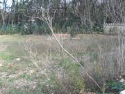 Terrain à CRUVIERS-LASCOURS