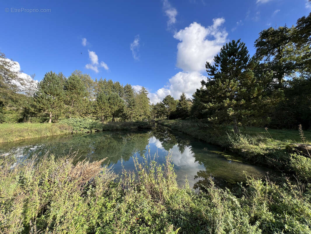 Exceptionnel domaine en bord de rivière sur plus d'un hectare - photo 17