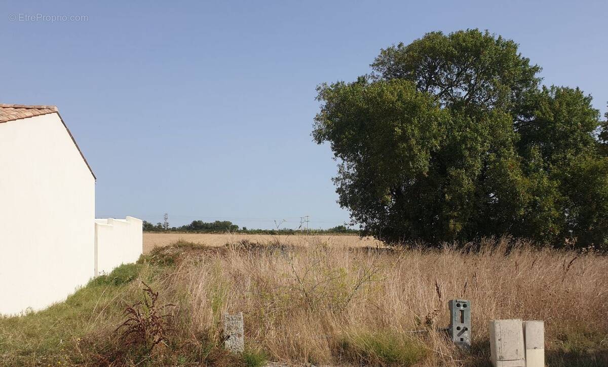 Terrain à LA JARNE
