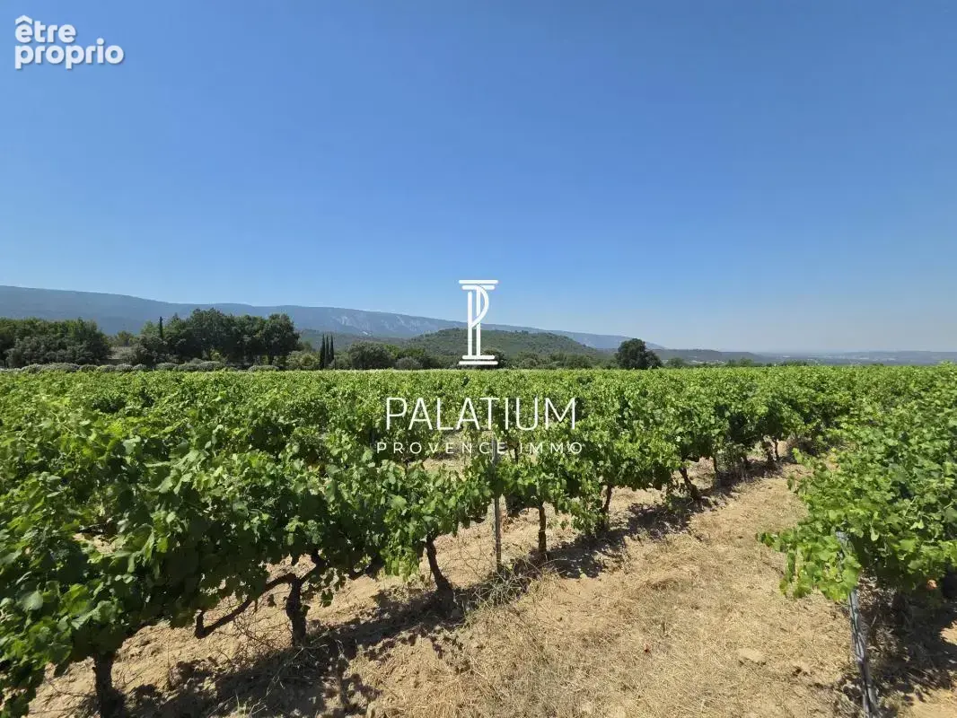 EXCLUSIVITE ! MÉNERBES (84) – Maison en pierre de 100 m² avec dépendances aménageables et plus de 3 hectares de vignes - photo 23