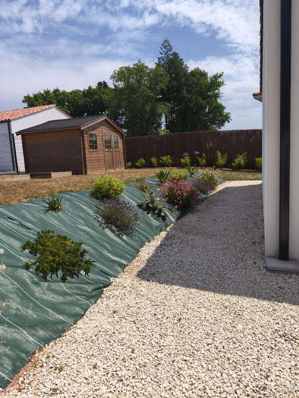 Maison à SAINT-VINCENT-SUR-GRAON