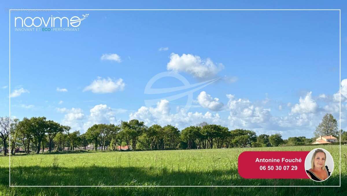 Terrain à SAINT-PERE-EN-RETZ