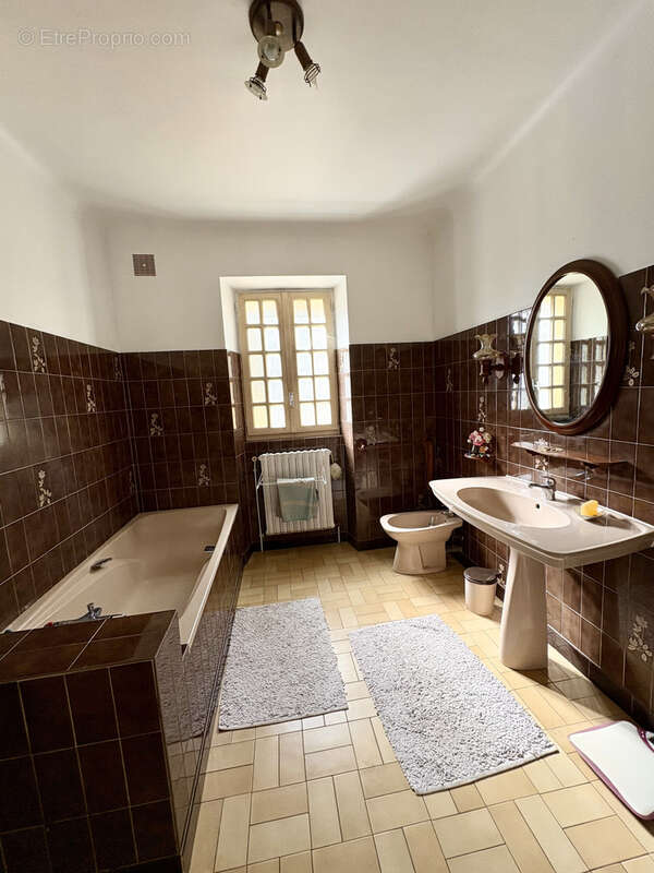 Maison à SALLES-DE-BELVES